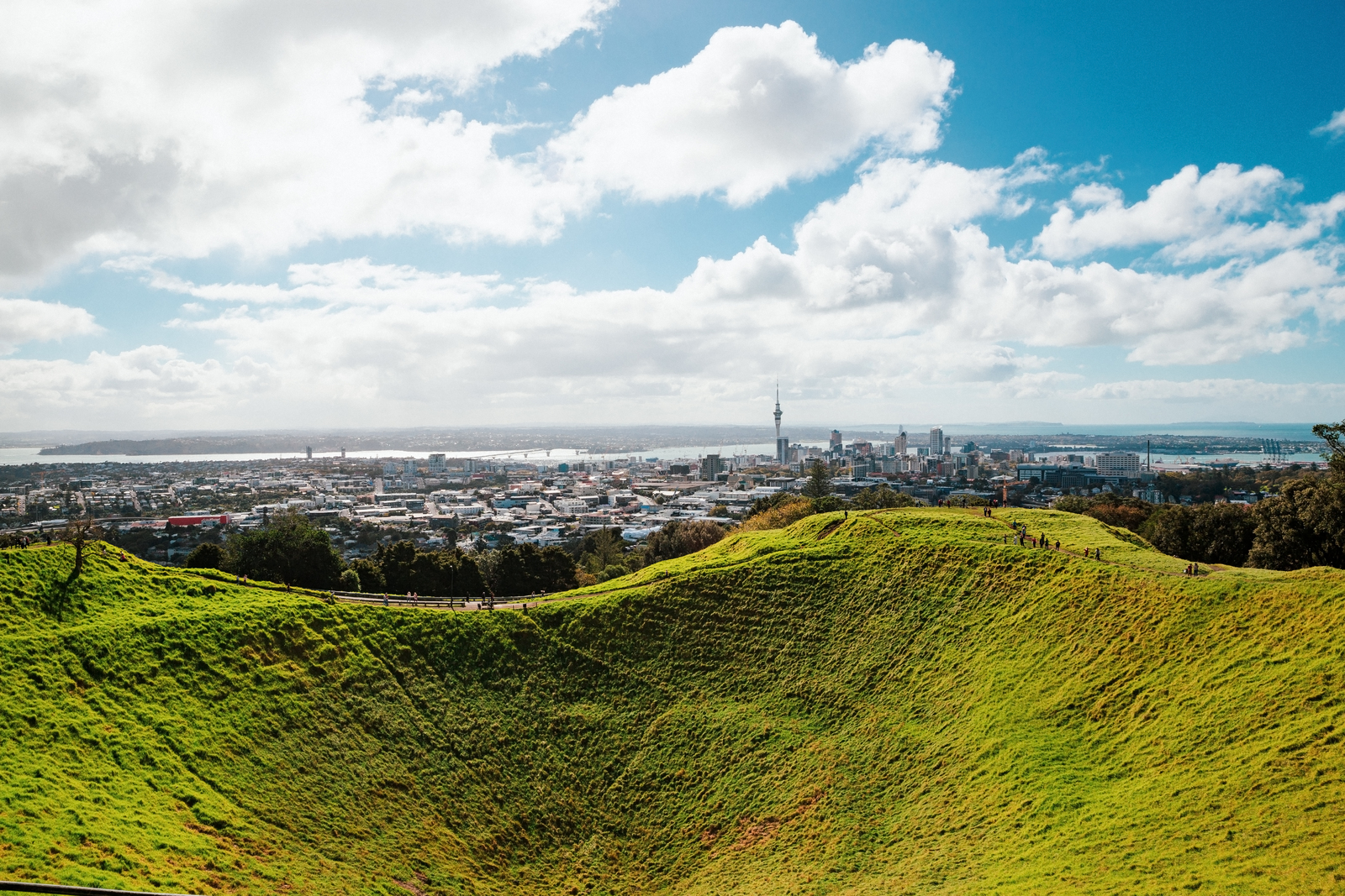 Living in Epsom – A Guide to Auckland’s Leafy Suburb